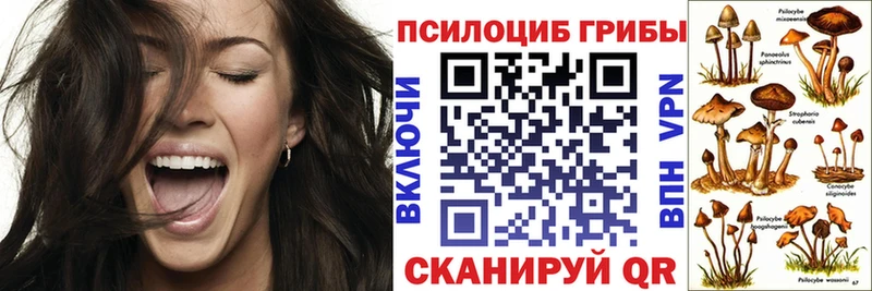 купить  сайты  Киреевск  Псилоцибиновые грибы прущие грибы 
